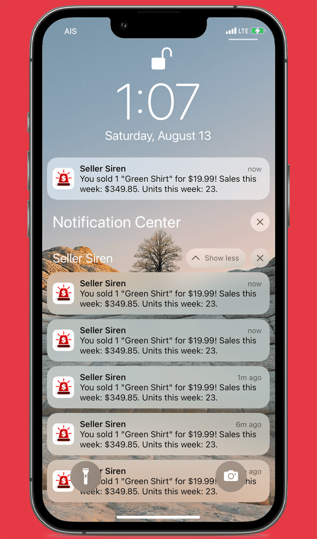 View Quick Sales Data from the Home Screen